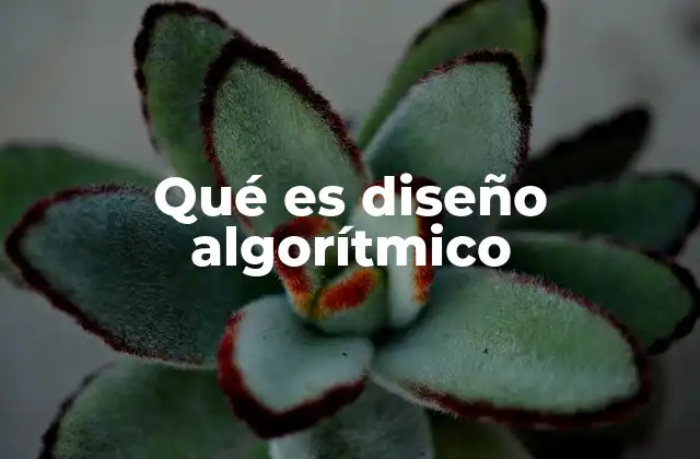 Qué es Diseño Algorítmico