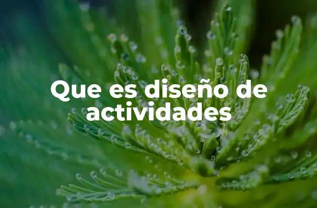 Que es Diseño de Actividades