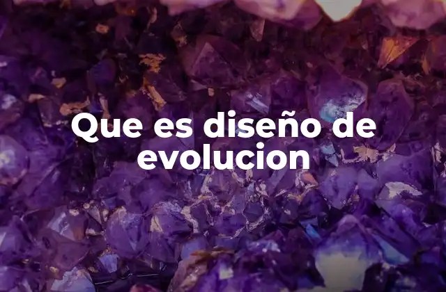 Que es Diseño de Evolucion