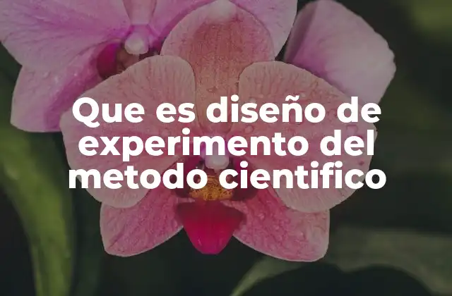 Que es Diseño de Experimento Del Metodo Cientifico