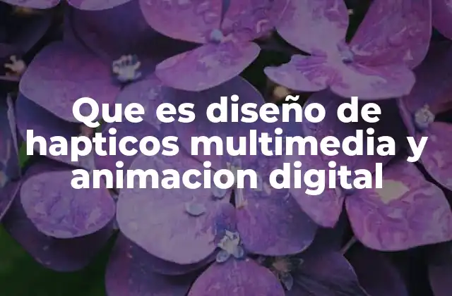Que es Diseño de Hapticos Multimedia y Animacion Digital