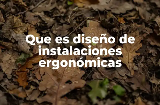 Que es Diseño de Instalaciones Ergonómicas