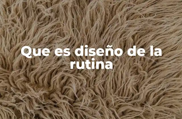 Que es Diseño de la Rutina