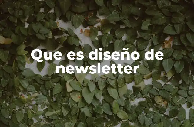 Que es Diseño de Newsletter
