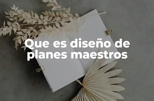 Que es Diseño de Planes Maestros