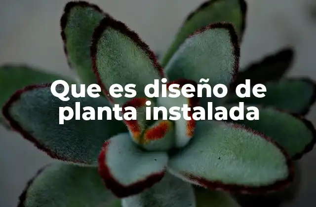 Que es Diseño de Planta Instalada