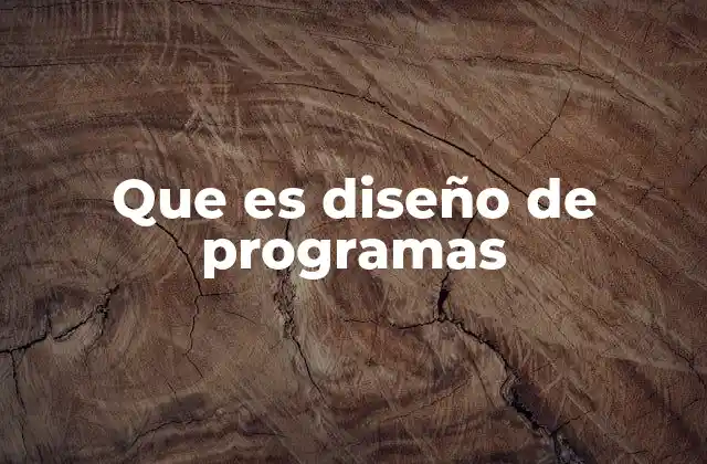 Que es Diseño de Programas