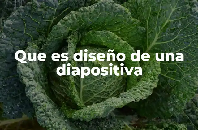 Elementos esenciales para una diapositiva efectiva