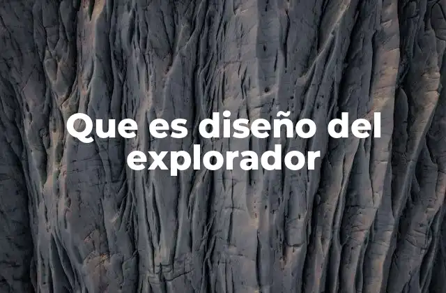 Que es Diseño Del Explorador