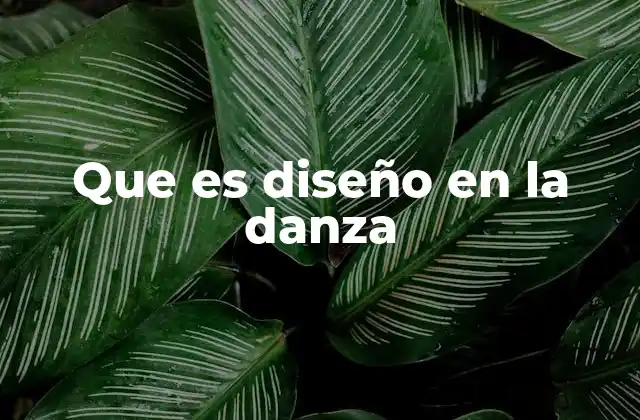 Que es Diseño en la Danza