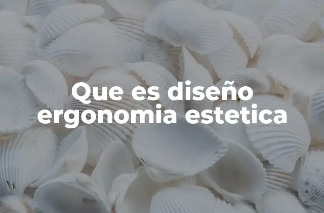 Que es Diseño Ergonomia Estetica