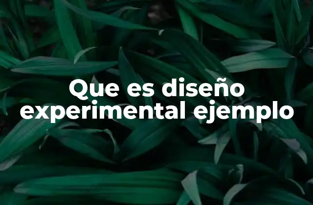 Que es Diseño Experimental Ejemplo