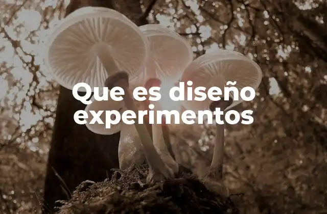 Que es Diseño Experimentos