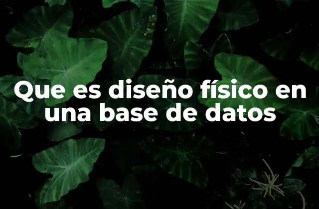 Que es Diseño Físico en una Base de Datos