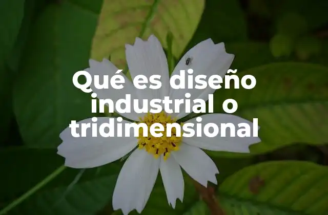 Qué es Diseño Industrial o Tridimensional