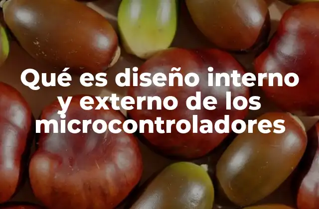Qué es Diseño Interno y Externo de los Microcontroladores