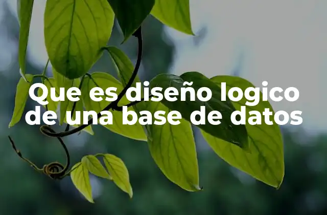 Que es Diseño Logico de una Base de Datos