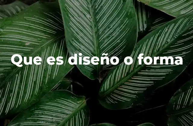 Que es Diseño o Forma