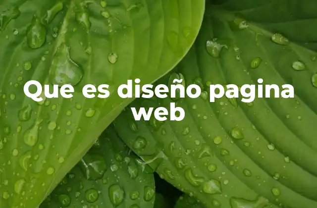 Que es Diseño Pagina Web