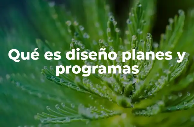 Qué es Diseño Planes y Programas