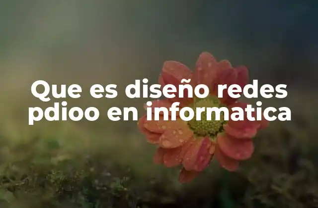 Que es Diseño Redes Pdioo en Informatica
