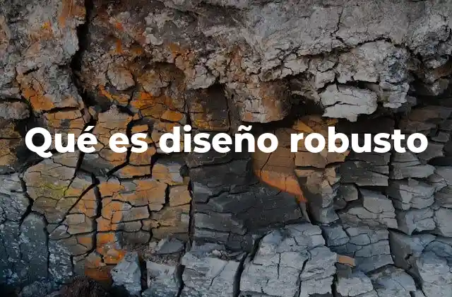 Qué es Diseño Robusto