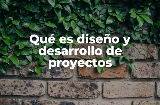 Qué es Diseño y Desarrollo de Proyectos