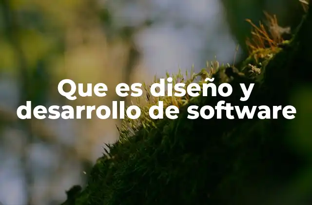 Que es Diseño y Desarrollo de Software