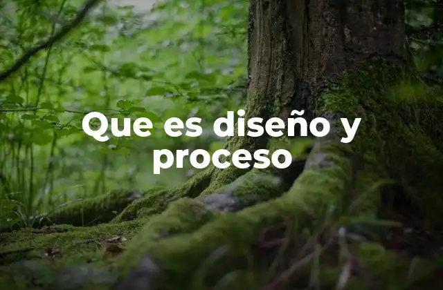 Que es Diseño y Proceso