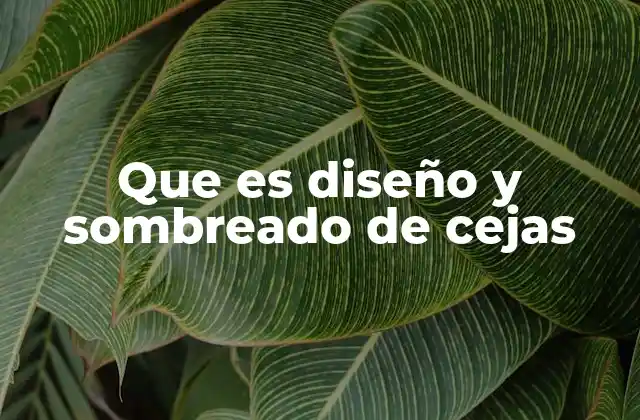 Que es Diseño y Sombreado de Cejas