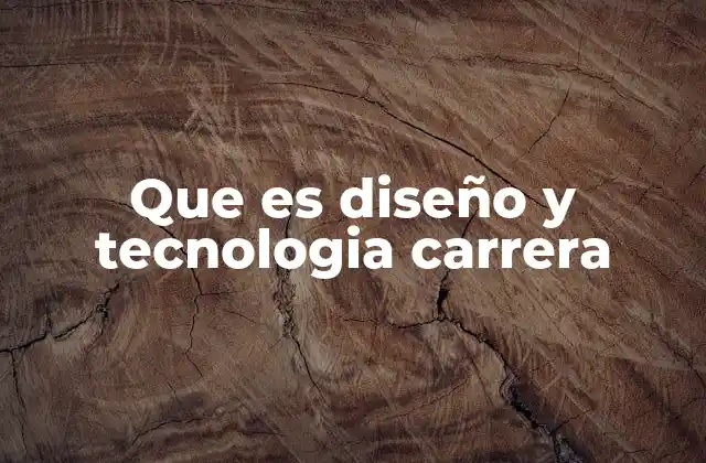 Que es Diseño y Tecnologia Carrera