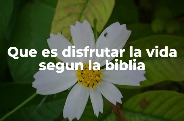 Que es Disfrutar la Vida Segun la Biblia 2 La vida como un regalo de Dios y su disfrute responsable