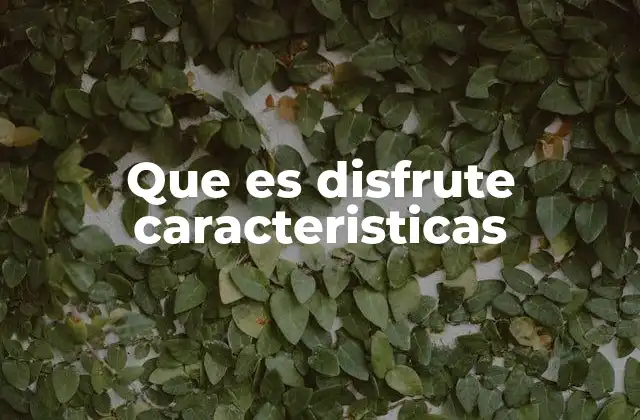 El disfrute como experiencia multifacética