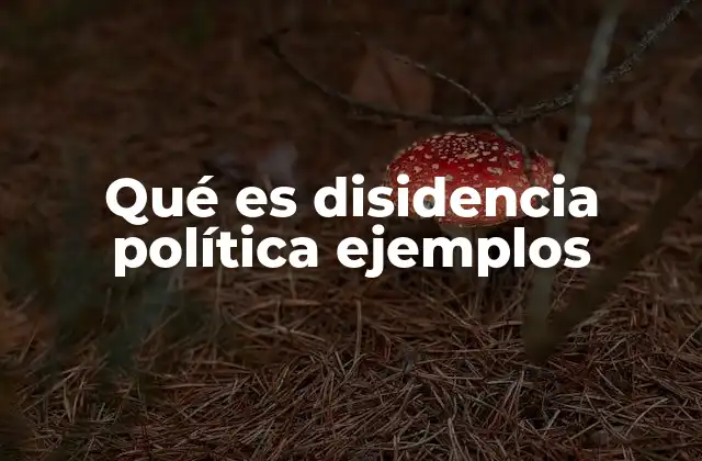 Qué es Disidencia Política Ejemplos