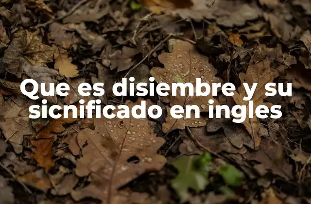 Que es Disiembre y Su Sicnificado en Ingles