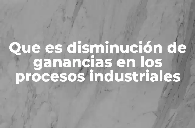 Que es Disminución de Ganancias en los Procesos Industriales
