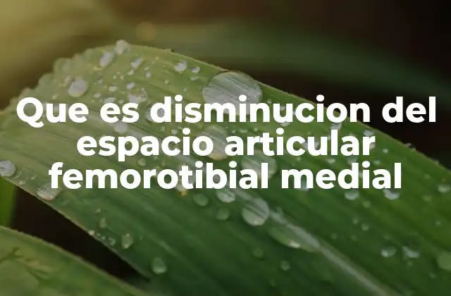 Que es Disminucion Del Espacio Articular Femorotibial Medial