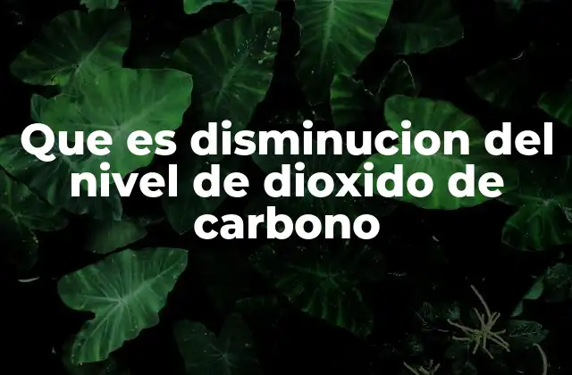 Que es Disminucion Del Nivel de Dioxido de Carbono