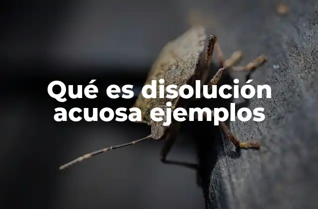 Qué es Disolución Acuosa Ejemplos