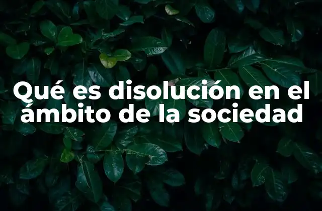 Qué es Disolución en el Ámbito de la Sociedad