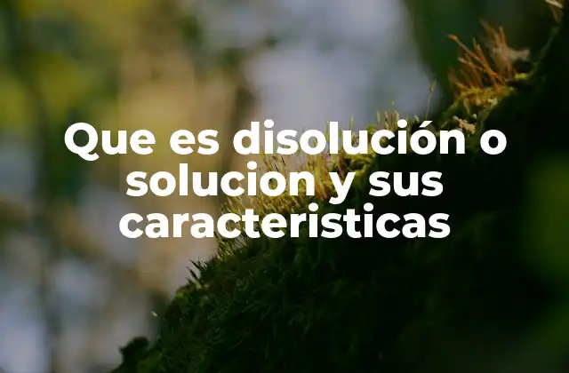Que es Disolución o Solucion y Sus Caracteristicas