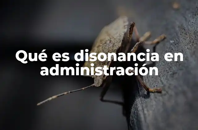 Qué es Disonancia en Administración
