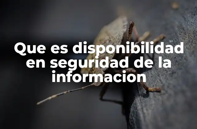 Que es Disponibilidad en Seguridad de la Informacion