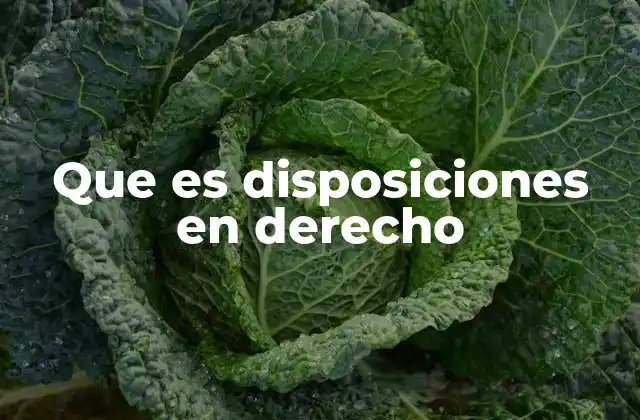 Que es Disposiciones en Derecho