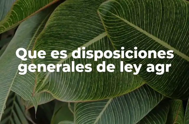 Que es Disposiciones Generales de Ley Agr