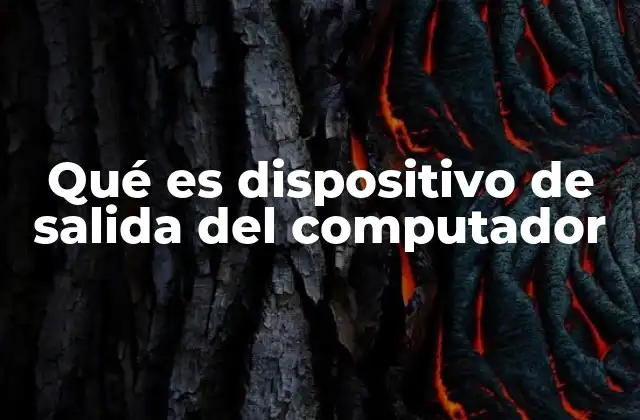 Qué es Dispositivo de Salida Del Computador