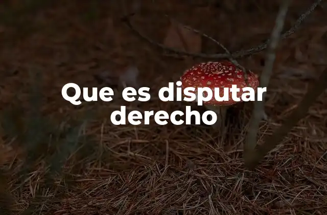 Que es Disputar Derecho