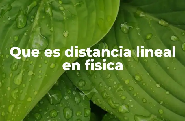 Que es Distancia Lineal en Fisica