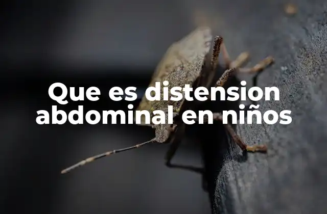 Que es Distension Abdominal en Niños