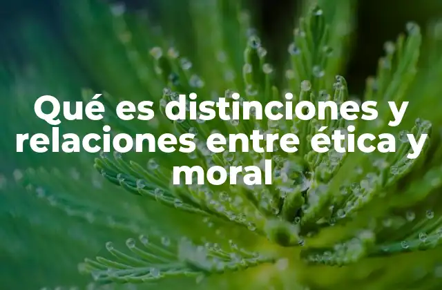 Qué es Distinciones y Relaciones entre Ética y Moral